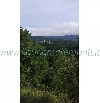 Foto annuncio 11