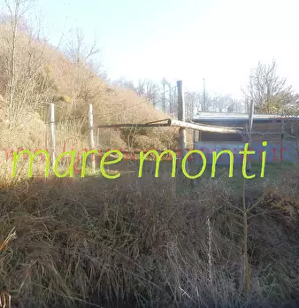 Foto annuncio 10