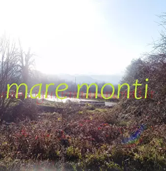 Foto annuncio 11