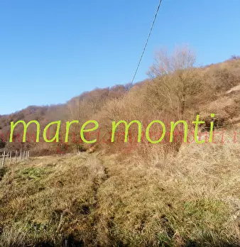 Foto annuncio 13