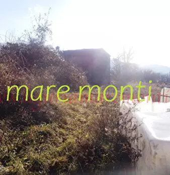 Foto annuncio 14