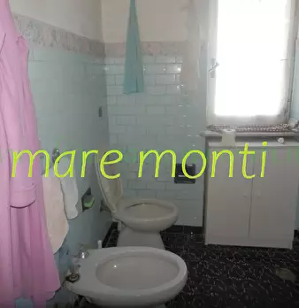Foto annuncio 31