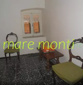 Foto annuncio 41