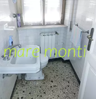 Foto annuncio 14