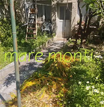 Foto annuncio 31