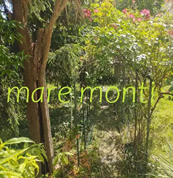 Foto annuncio 32