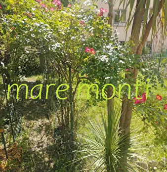 Foto annuncio 33