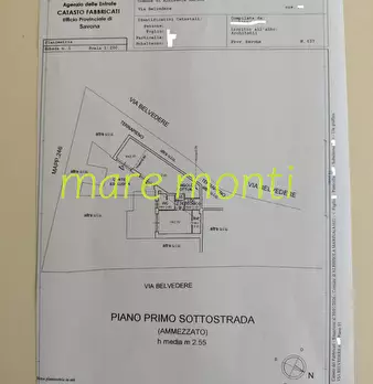 Foto annuncio 12
