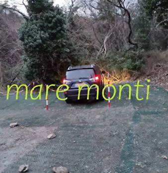 Foto annuncio 13