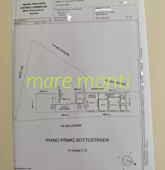 Foto annuncio 30