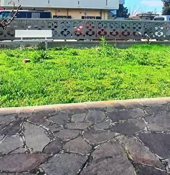Foto annuncio 27