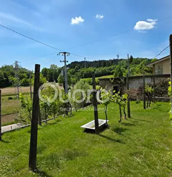 Foto annuncio 10