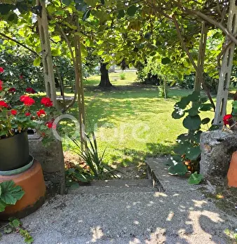 Foto annuncio 7