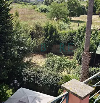 Foto annuncio 22