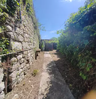 Foto annuncio 15