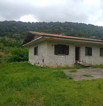 Foto annuncio 1