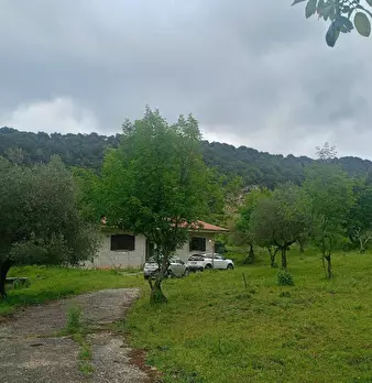Foto annuncio 2