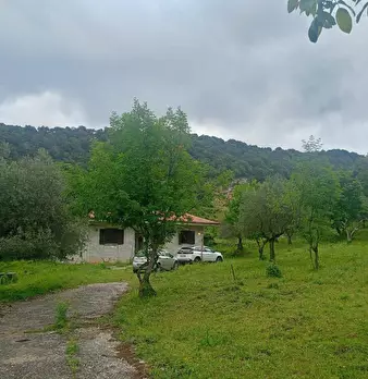Foto annuncio 12