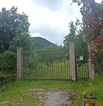 Foto annuncio 18