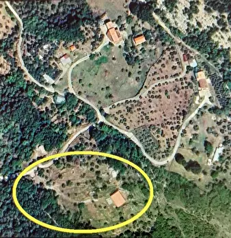 Foto annuncio 16
