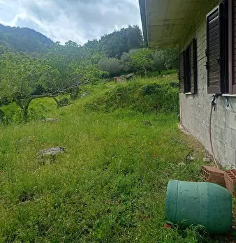 Foto annuncio 19