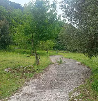 Foto annuncio 21