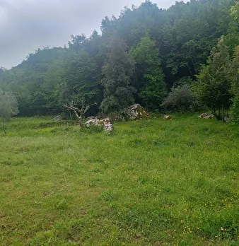 Foto annuncio 22