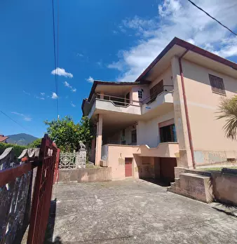 Foto annuncio 19