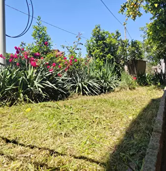 Foto annuncio 23