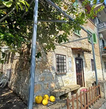 Foto annuncio 1