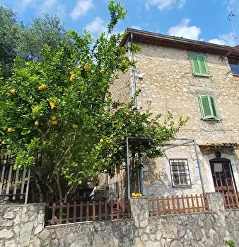 Foto annuncio 4