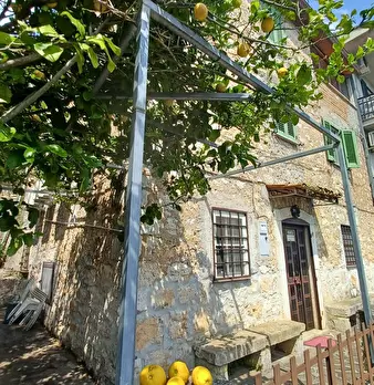 Foto annuncio 29