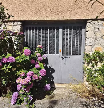 Foto annuncio 28