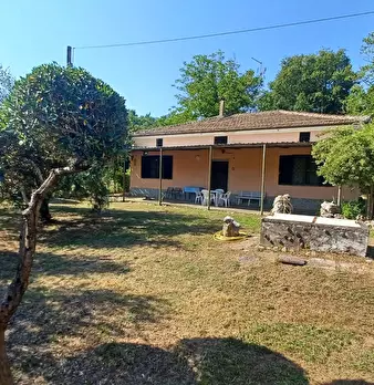 Foto annuncio 1