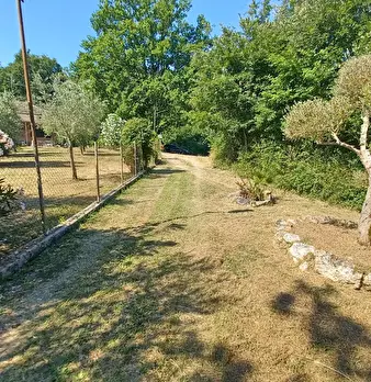 Foto annuncio 3