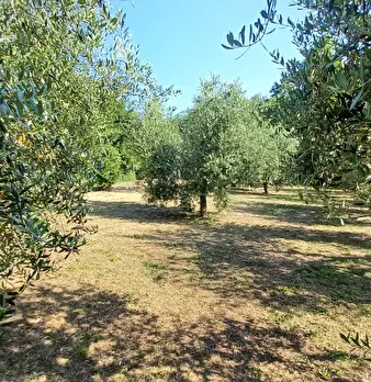 Foto annuncio 5