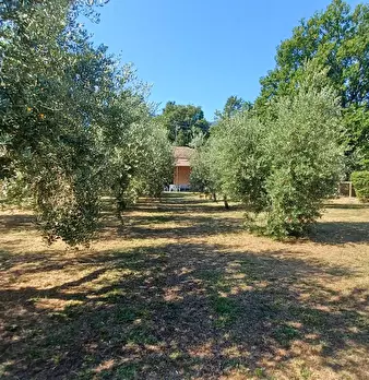 Foto annuncio 8