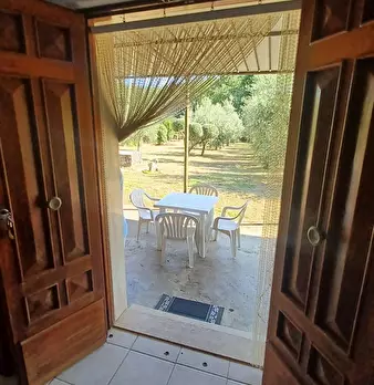 Foto annuncio 9