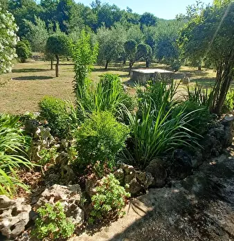 Foto annuncio 17