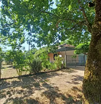 Foto annuncio 19
