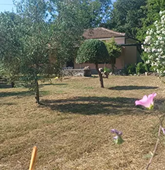 Foto annuncio 22