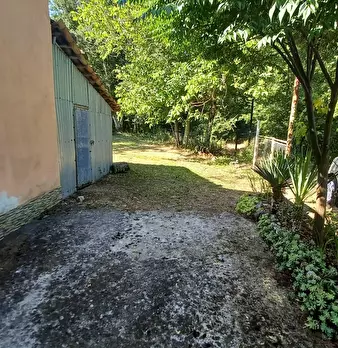 Foto annuncio 26