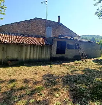 Foto annuncio 29