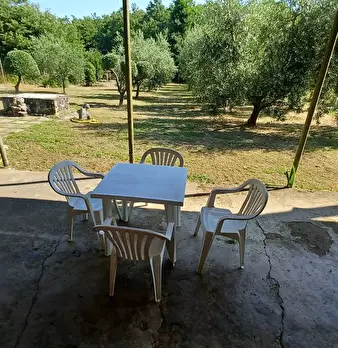 Foto annuncio 33