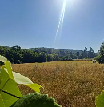 Foto annuncio 39