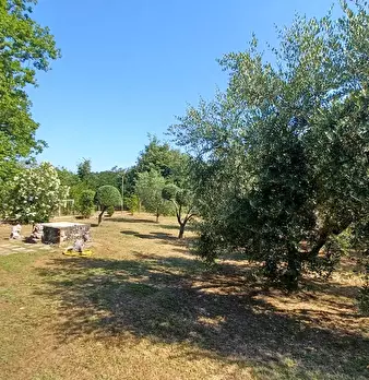 Foto annuncio 6