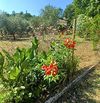 Foto annuncio 40