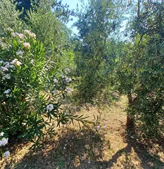 Foto annuncio 41