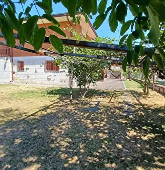 Foto annuncio 21