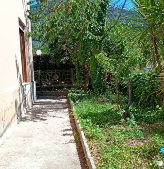 Foto annuncio 21